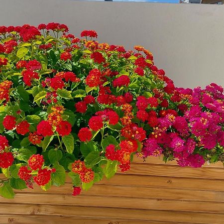 Elegant Apartment In The Heart Of Heraklion Экстерьер фото